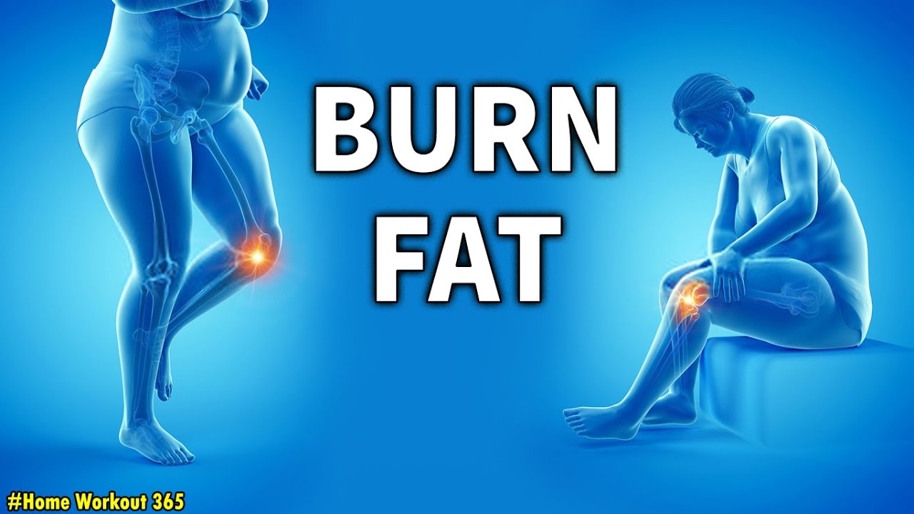 BURN FAT WITHOUT HURTING YOUR KNEES