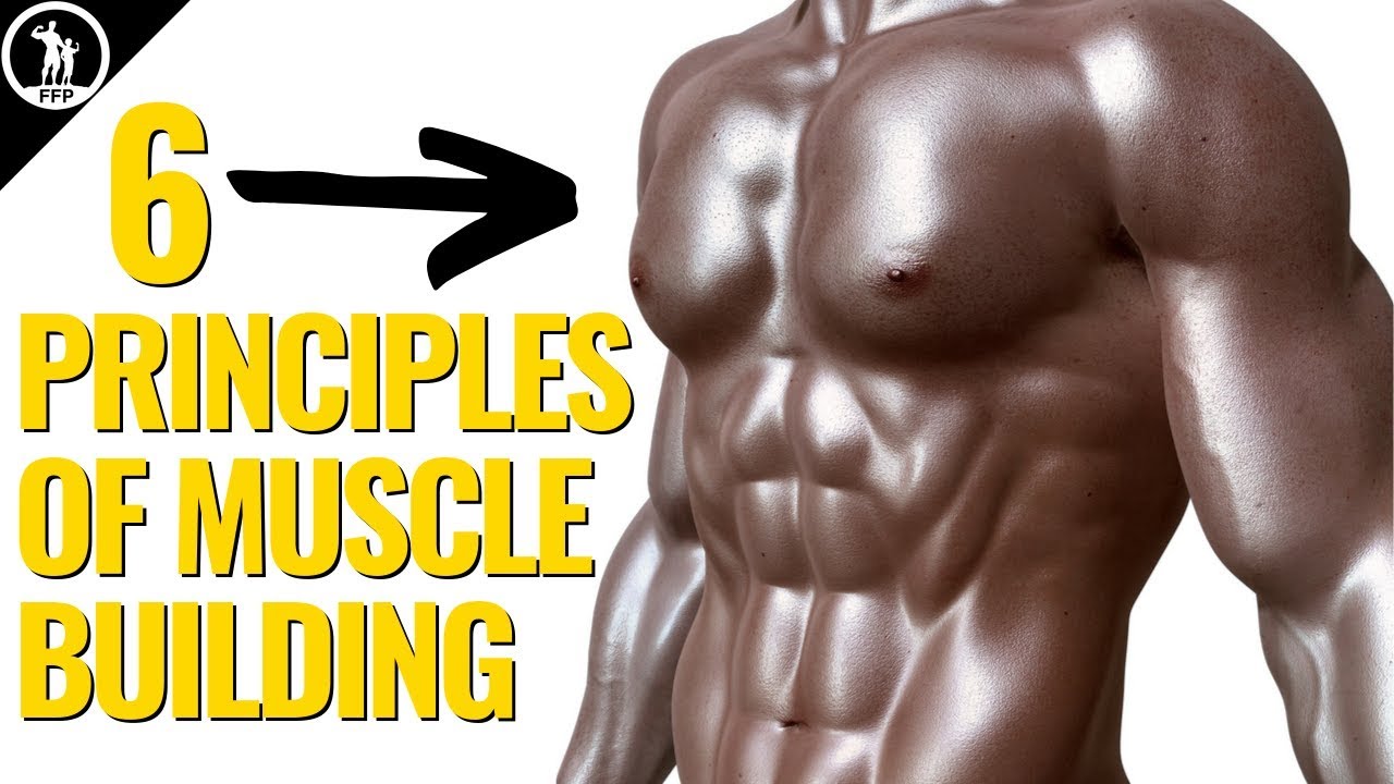 6 Principles of Muscle Building  In-Depth Guide For REAL Results