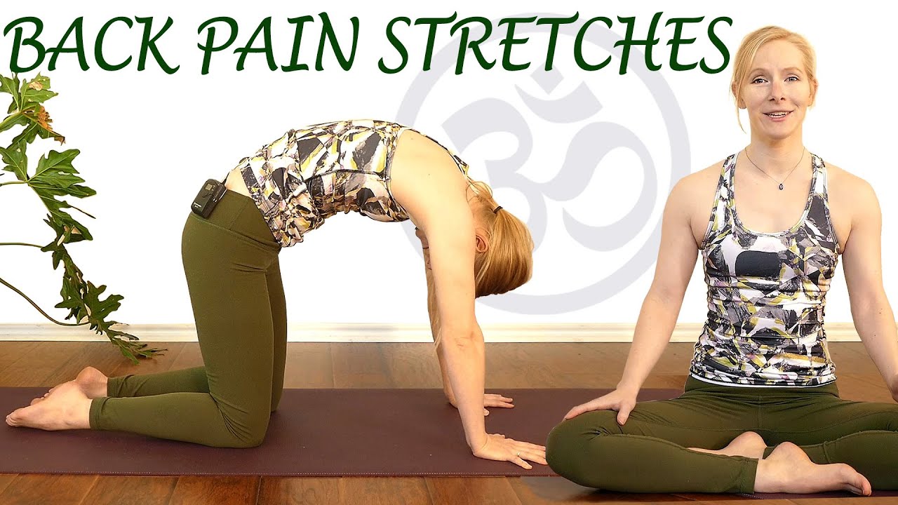 Easy Stretches for Back Pain Relief, Beginners Yoga Exercises for Relaxation & Stress